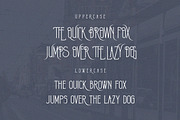 Lemon Tree Vintage Condensed Serif, a Serif Font by JumboDesign (Thumbnail 2 of 6)
