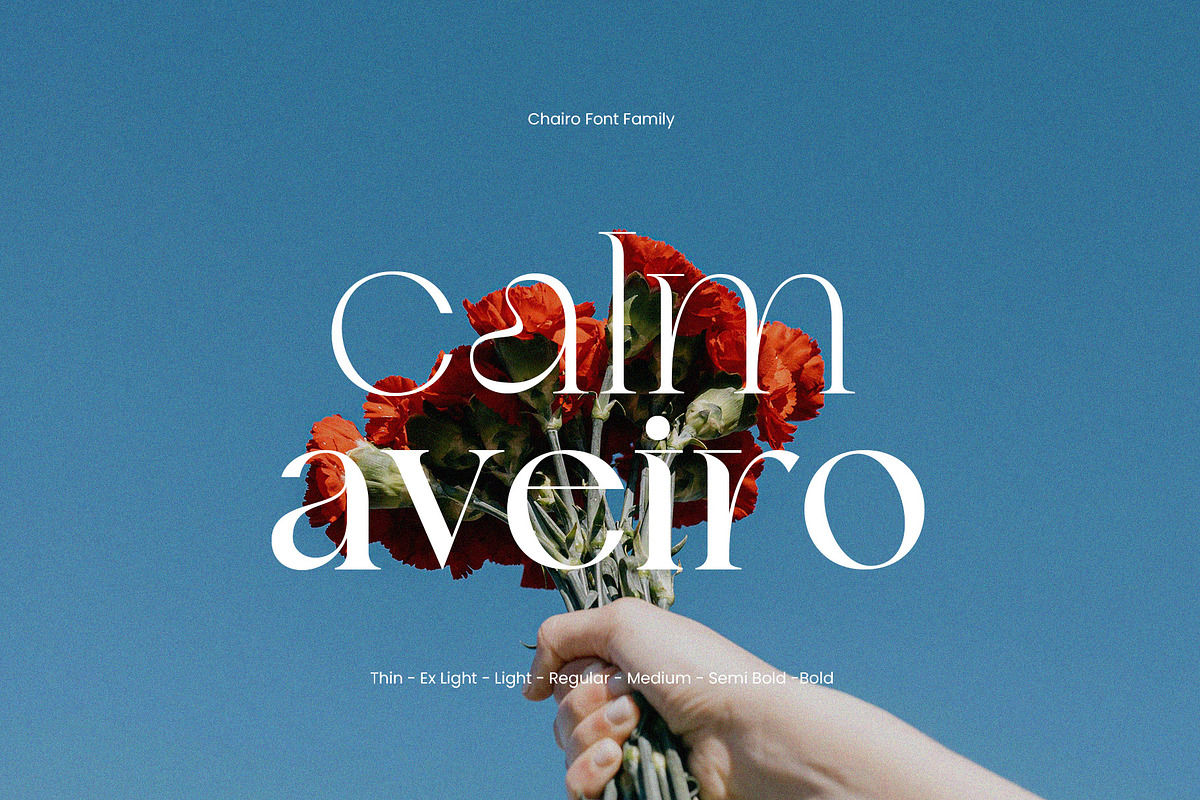 Chairo | Editorial Serif Font Family, a Serif Font by Typoraith Co (Photo 3 of 10)