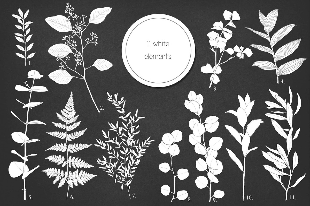 Fresh greenery frames and patterns, a Decorative Illustration by marie dricot (Photo 14 of 16)