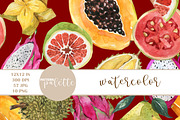 Watercolor Exotic Fruits Patterns, a Pattern Graphic by PatternPalette (Thumbnail 10 of 15)