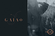 RoseGold Serif font + 10 Logos, a Serif Font by VP Fonts (Thumbnail 18 of 20)