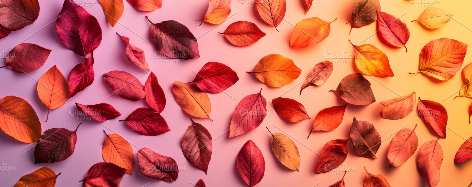 Red and orange maple leaves on a vibrant gradient background ban, an Abstract Photo by Natalia Klenova's Shop
