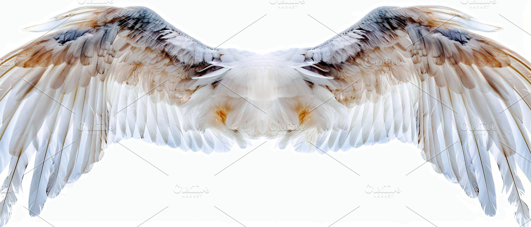 Wings on white background  , Generat, a Photo by LOGOCREATIVE
