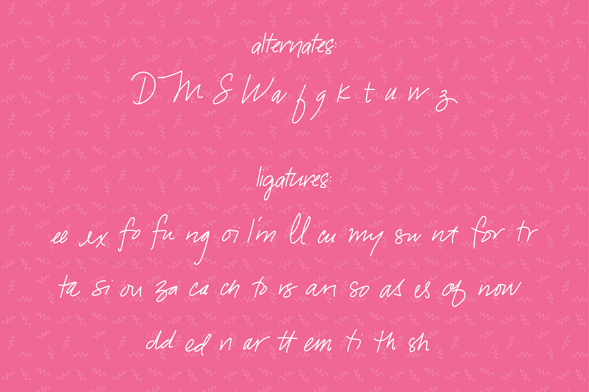 Snarky Flamingo, a Handwritten Font by Kitaleigh (Photo 4 of 4)