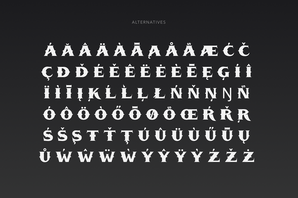 ARGENTUM - Vintage Serif Font, a Serif Font by vix.vix (Photo 4 of 6)
