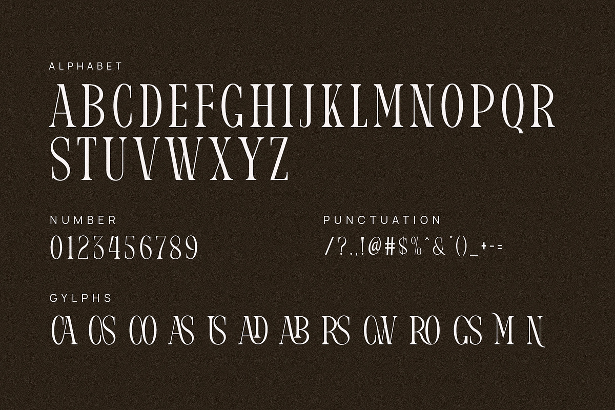 Misadon Elegant Ligature Serif Font, a Serif Font by Perfectype (Photo 6 of 6)
