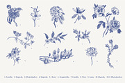BLOOM. Chinoiserie inspired. B&W, a Decorative Illustration by olga.korneeva (Thumbnail 5 of 11)