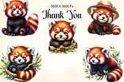 Watercolor Baby Red Panda Clipart, an Illustration by CraftArtStudio (Thumbnail 3 of 3)
