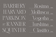 Karlotte - Elegant Serif Font, a Serif Font by Dora Typefoundry (Thumbnail 7 of 25)
