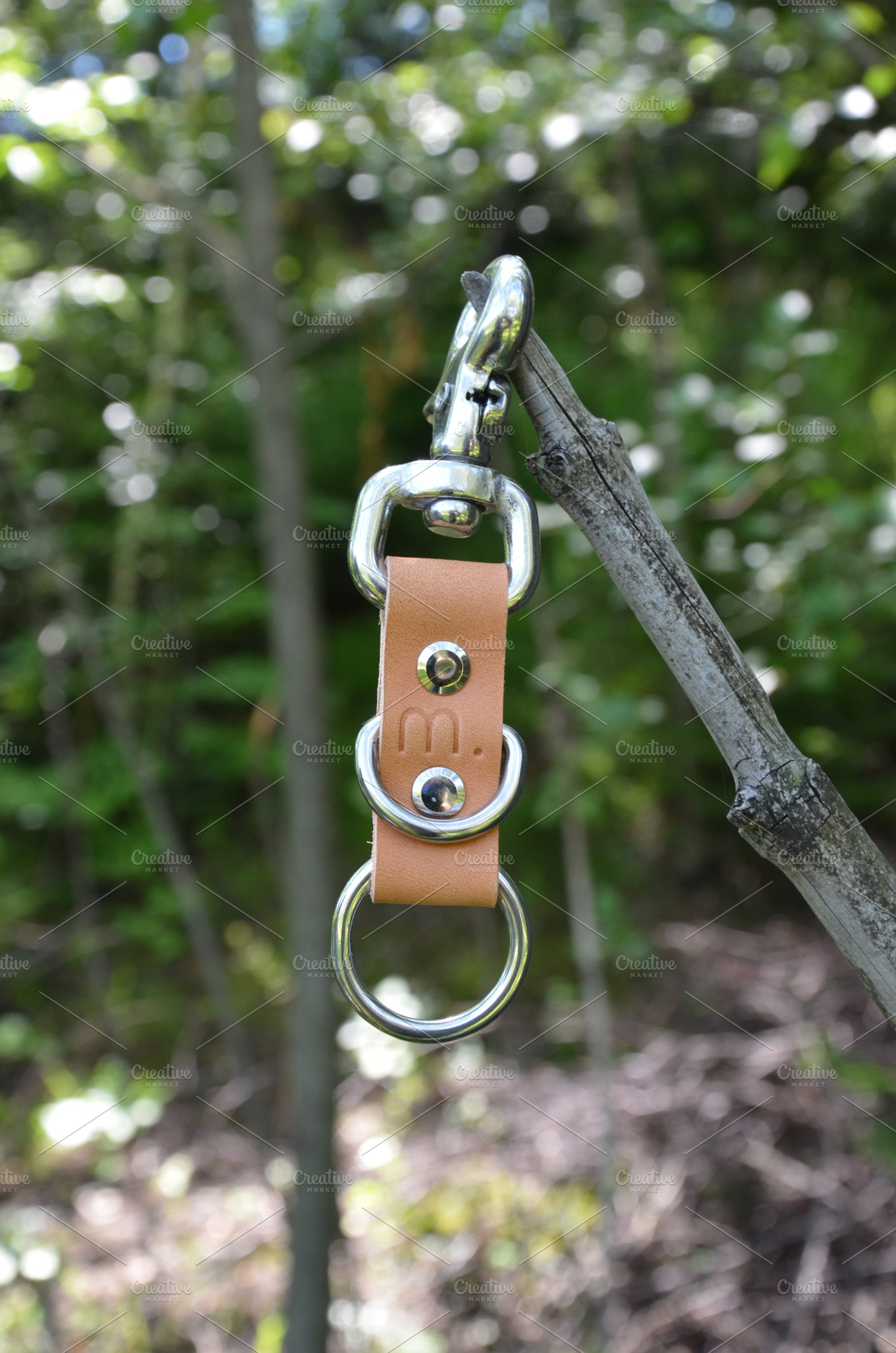 Brown leather key clip on a branch stock photo containing leather and fashion