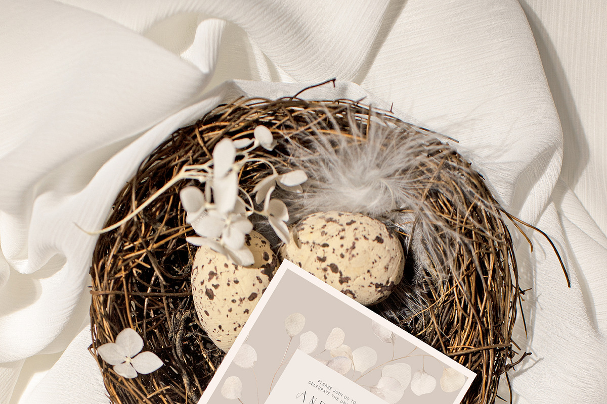 FLORAL WINTER BOX Watercolor Bundle, a Seasonal Illustration by Muse Artist (Photo 78 of 95)