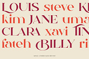 Qamille - Modern Classic Serif Font, a Serif Font by StudioinBry (Thumbnail 7 of 13)