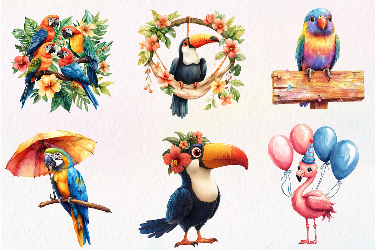 Tropical Bird Png, Jungle Bird Clipa, an Illustration by CreationArt (Photo 7 of 9)