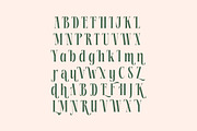 Repslag Brocker Luxury Serif Font, a Serif Font by timelesstype.co (Thumbnail 18 of 20)