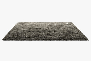 Carpets With Long Nap 3d Model