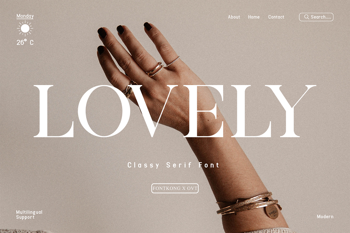Lovely - Classy Serif Font, a Serif Font by overlaytemplates (Photo 1 of 5)