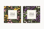 Wild flowers and herbs backgrounds, a Decorative Illustration by Good Studio (Thumbnail 2 of 5)