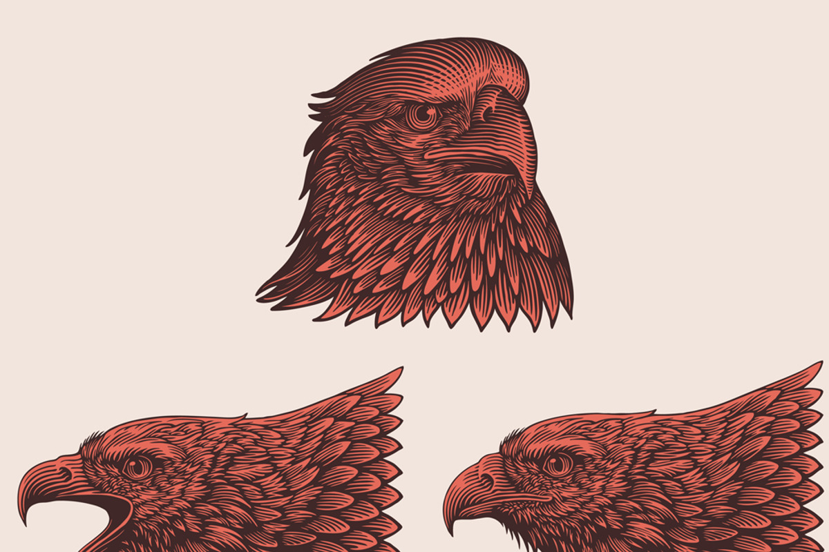 Design set Eagle. Vector engraving, an Animal Illustration by Vector Engraving (Photo 2 of 2)