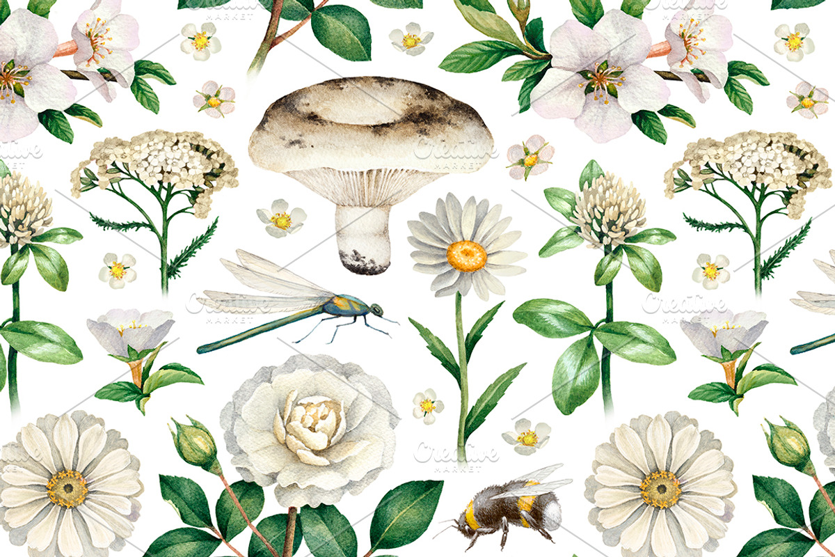 White summer nature illustrations, an Illustration by Sundra (Photo 4 of 5)