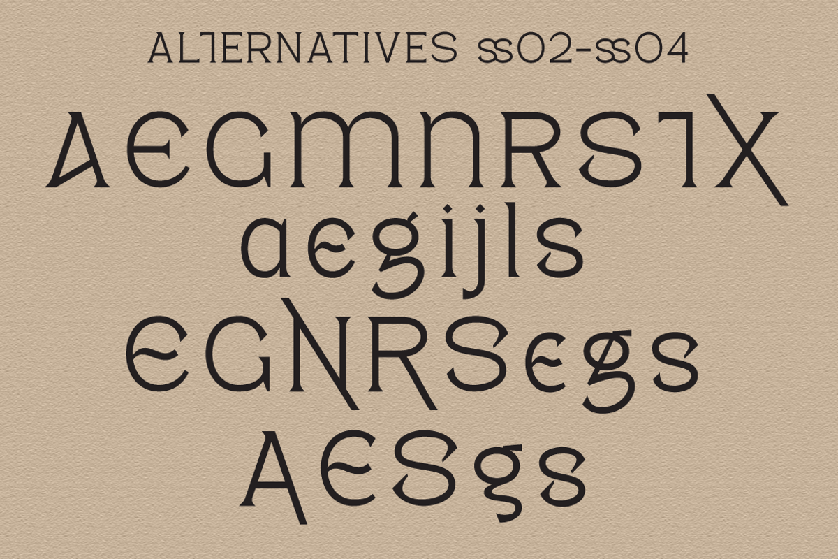 Pagers - Display Serif, a Serif Font by tebaltipislab (Photo 12 of 15)