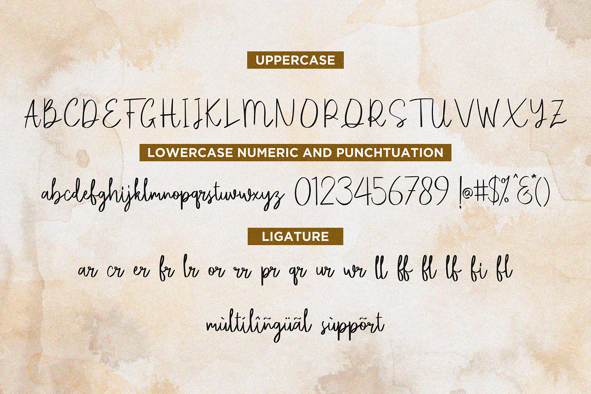 Camedyan, a Script Font by Essentials Studio (Photo 7 of 8)