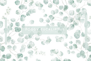 Foggy Eucaliptus