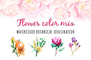 5 illustrations flower color mix, a Decorative Illustration by Integrity_store (Thumbnail 1 of 11)