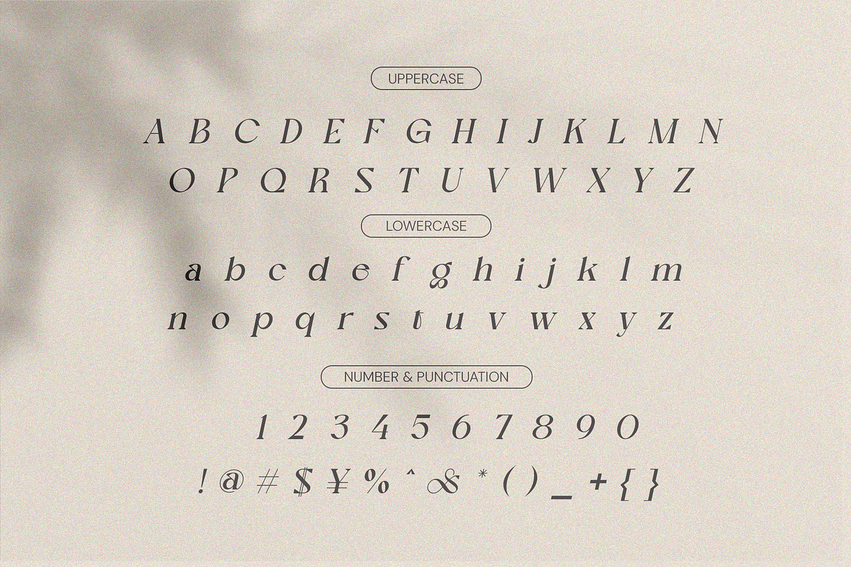 Nagishe Soinetha Moderen & Elegance, a Serif Font by BOOSH Studio (Photo 10 of 13)