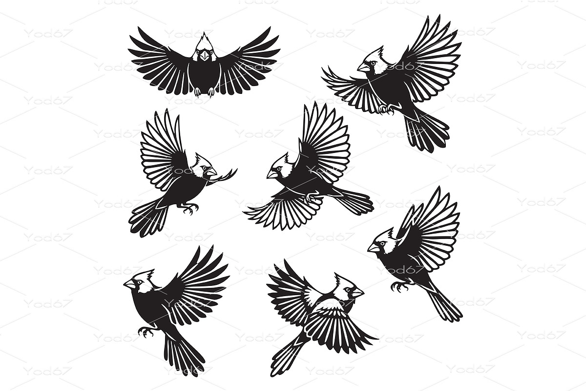 Cardinal bird silhouettes in various, an Animal Illustration by yod67
