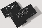 Blacker Sans - 60 + 3 variable fonts, a Sans Serif Font by Zetafonts (Thumbnail 9 of 15)