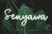Senyawa, a Script Font by cocodesign (Thumbnail 5 of 6)