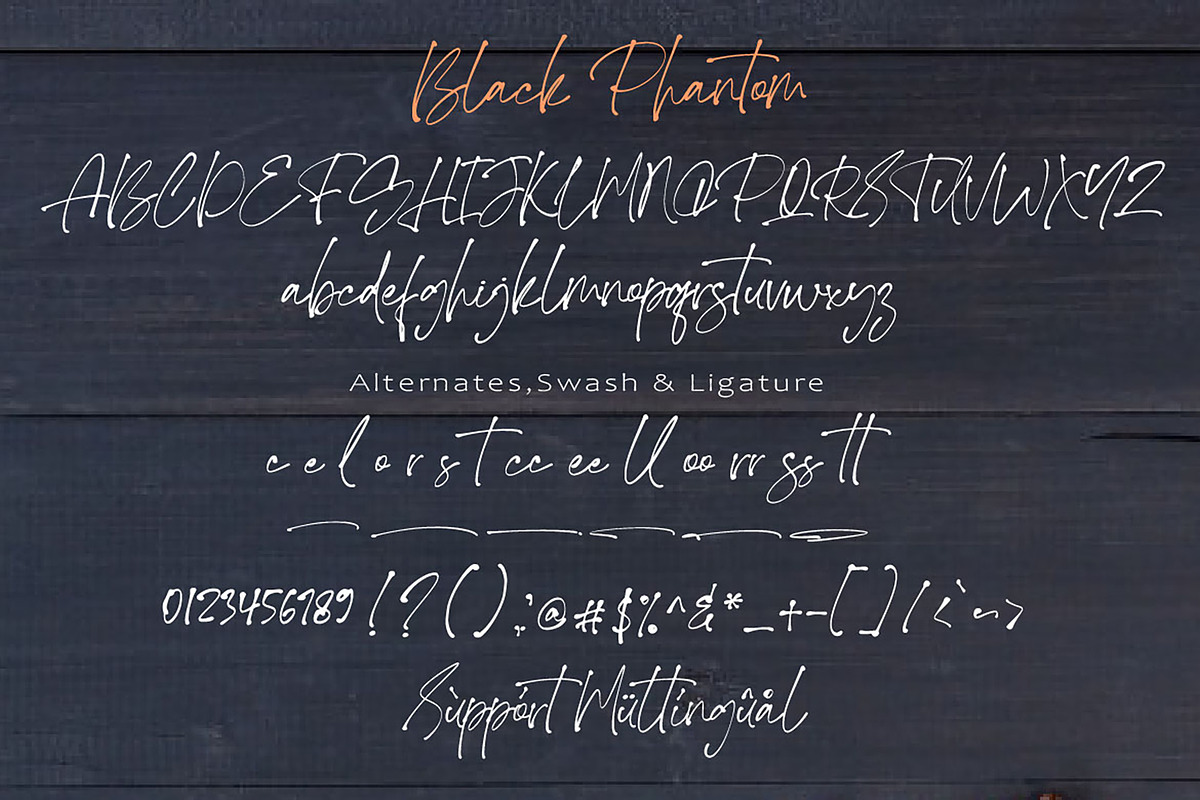 Black Phantom, a Script Font by AMINMARIO (Photo 7 of 7)