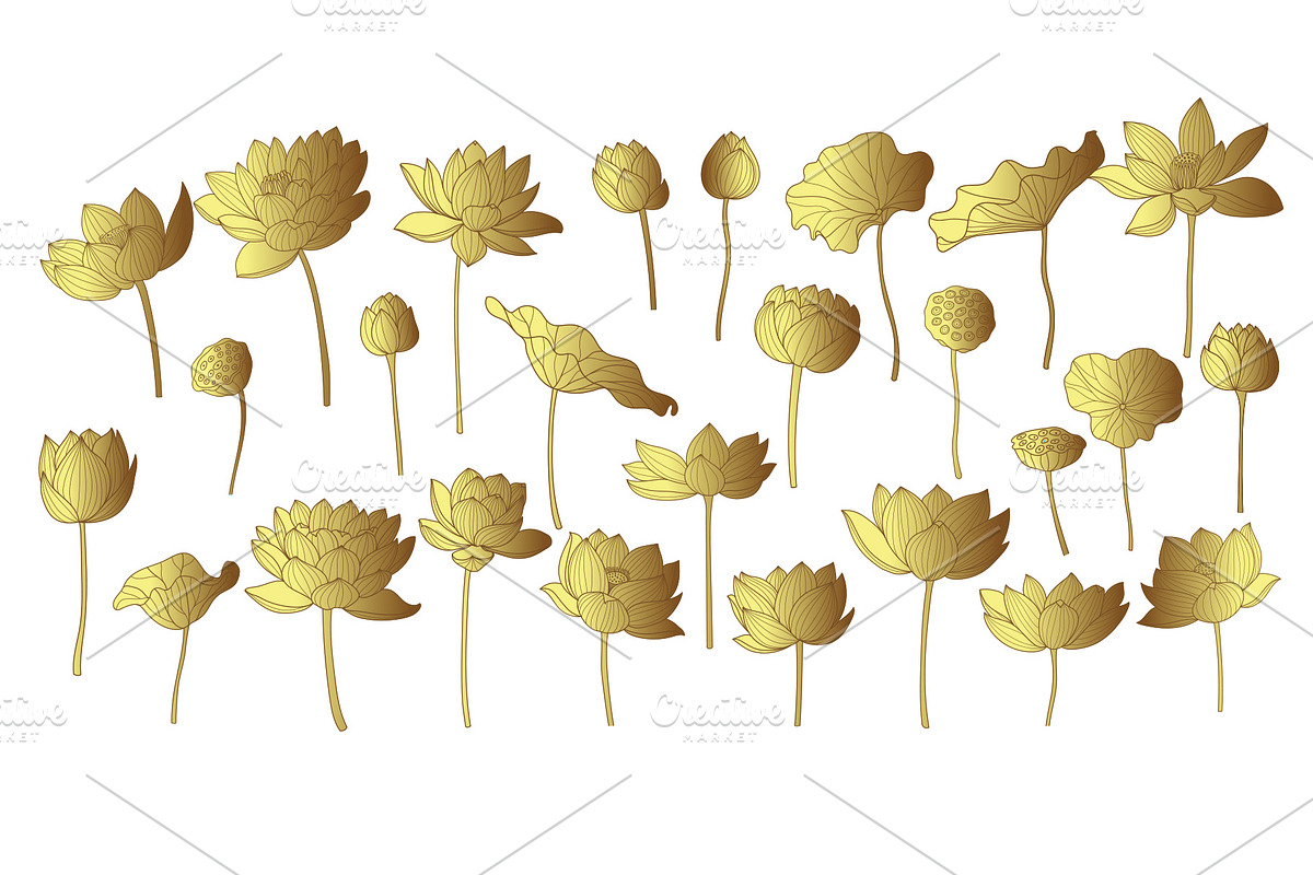 Lotus hand drawn vector set, a Seasonal Illustration by Vectorwins Premium Shop (Photo 3 of 4)