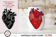 Anatomical Heart Clipart, an Illustration by SLS Lines (Thumbnail 2 of 5)