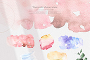 Cotton Botany Watercolor Collection, a Decorative Illustration by Volha Studio (Thumbnail 7 of 9)