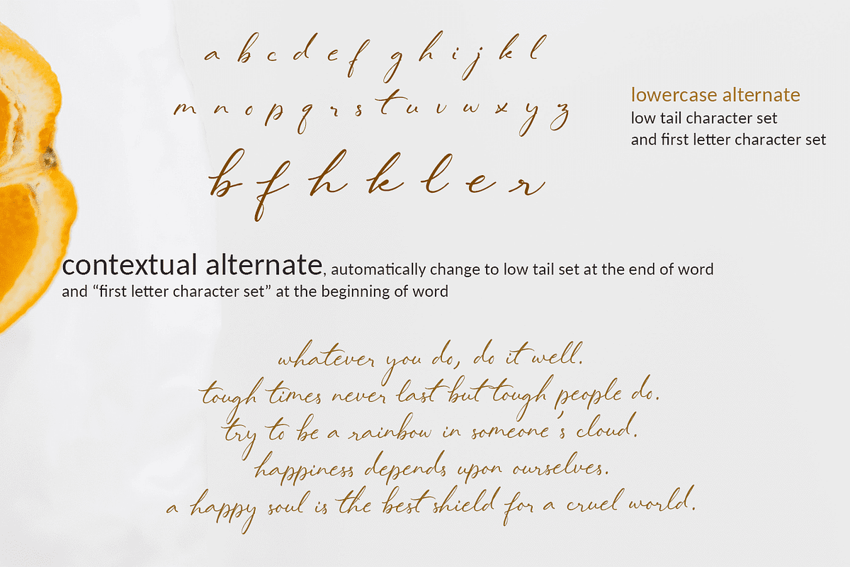 Lovely Hydrillas Font, a Script Font by Letterhanna Studio (Photo 7 of 20)