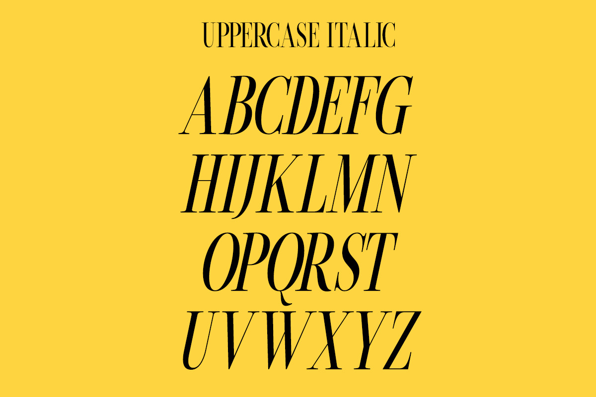 Beachwalk | Elegant Retro Serif, a Serif Font by Muntab_Art (Photo 9 of 13)