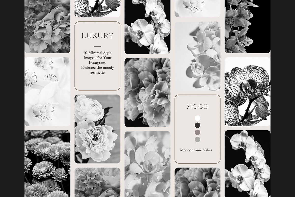 Moody Styled Floral Photography, a Wallpaper Photo by AM Studio (Photo 1 of 3)