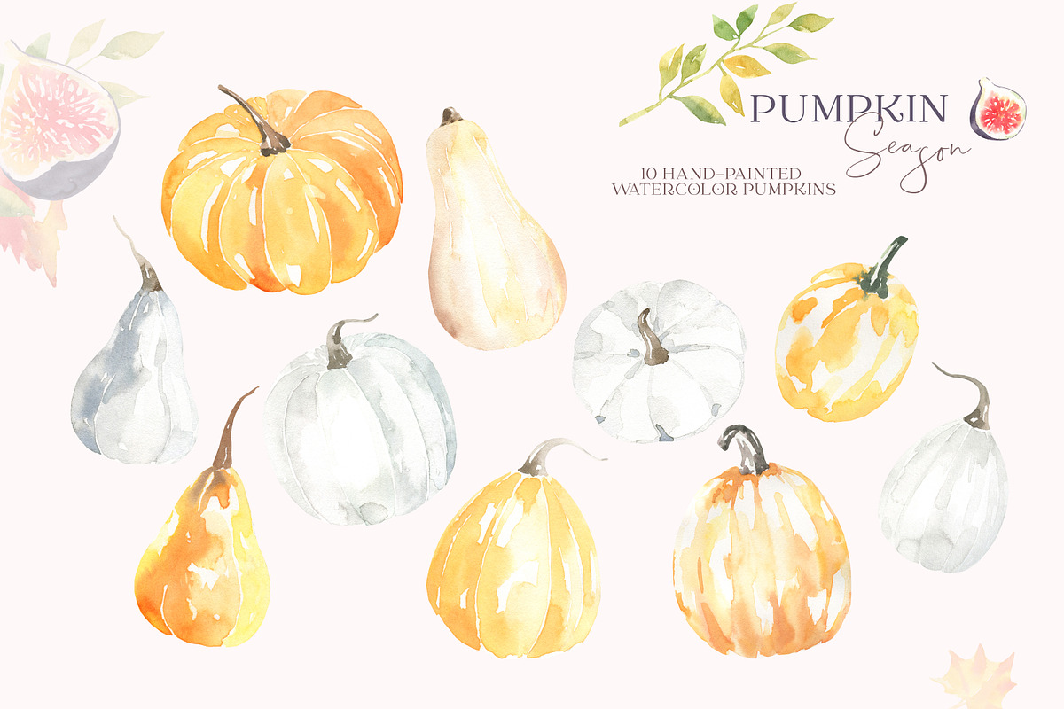 Watercolor Pumpkin Autumn Clipart, a Decorative Illustration by Catherine Wheel (Photo 10 of 12)