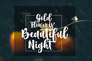 Boston (fonts duo), a Script Font by jorse (Thumbnail 4 of 7)