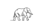 Elephant Vector Elements Bundle, an Animal Illustration by balal (Thumbnail 13 of 17)