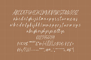 Palmaera - Signature Display Typefac, a Handwritten Font by VASTARD STUDIO (Thumbnail 9 of 12)