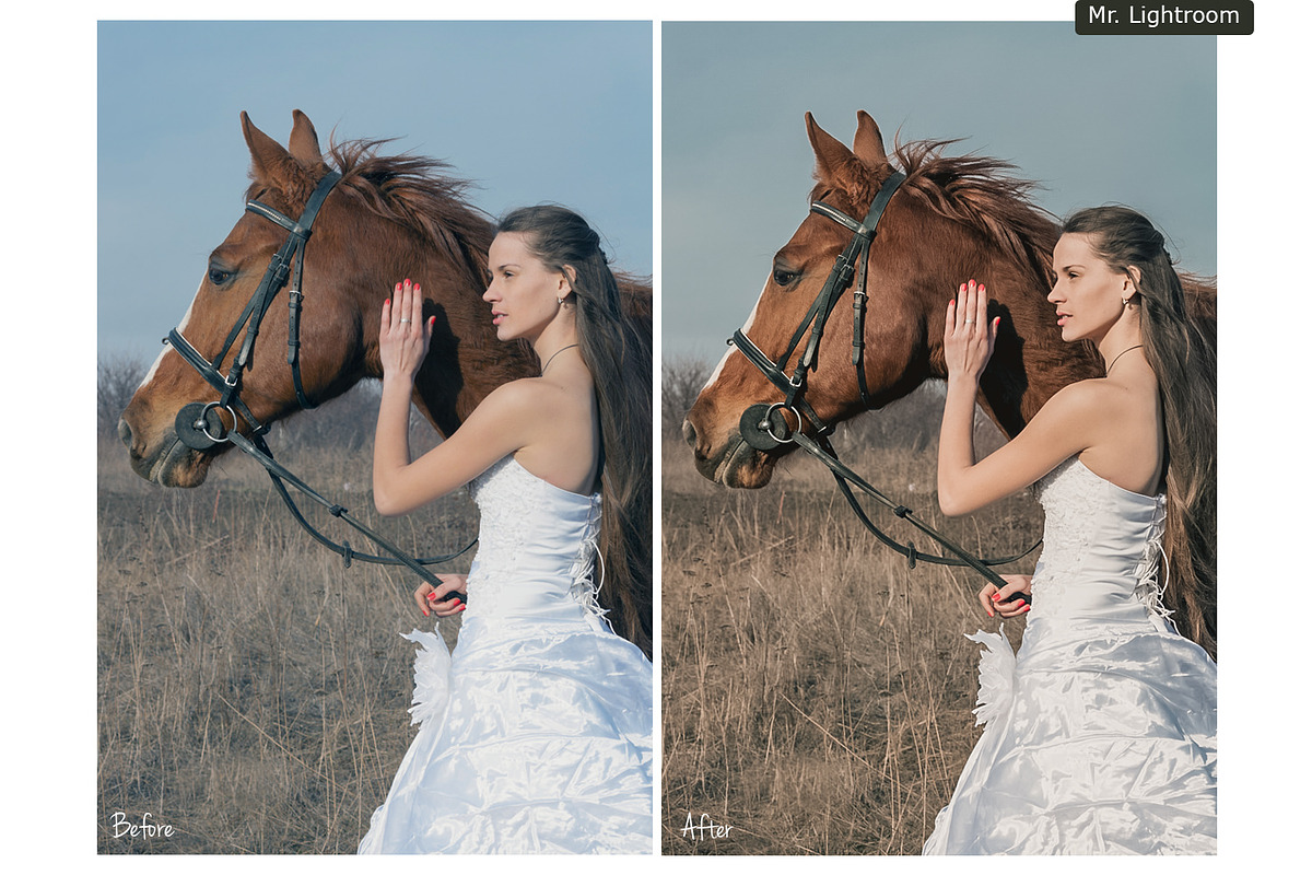 Earth Tones Lightroom Presets preview 2