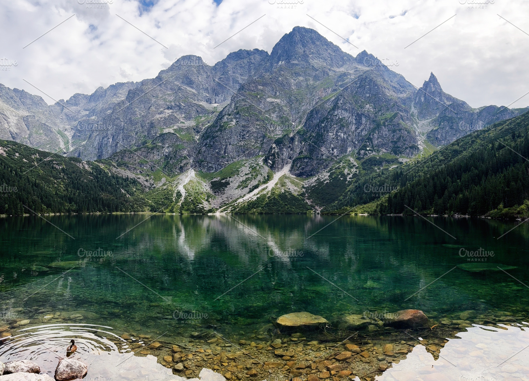 Scenic mountain lake in Zakopane Poland reflecting towering peaks and forest, a Nature Photo by AS photostudio