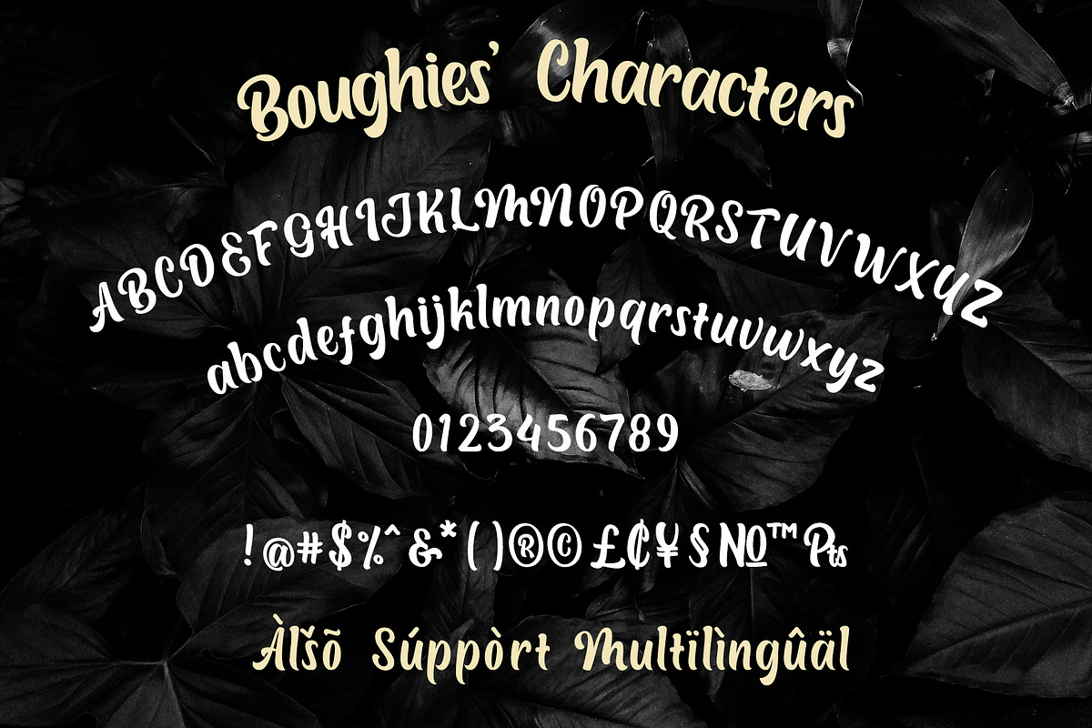 Boughies Typeface preview 2