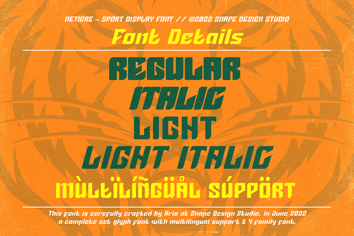 Netigre - Sport Font, a Font by Snape Design Studio (Photo 3 of 5)