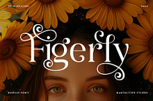 Figerly Modern Serif Font