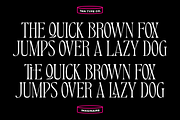 TAN - IMAGINAIRE, a Serif Font by TanType (Thumbnail 4 of 12)