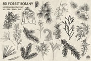 Forest Botany Line Art + Procreate, a Brush Add-On by Skliarova (Thumbnail 2 of 6)