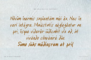 The Scarlet Pimpernel Handwritten, a Handwritten Font by Perplexitics (Thumbnail 7 of 10)